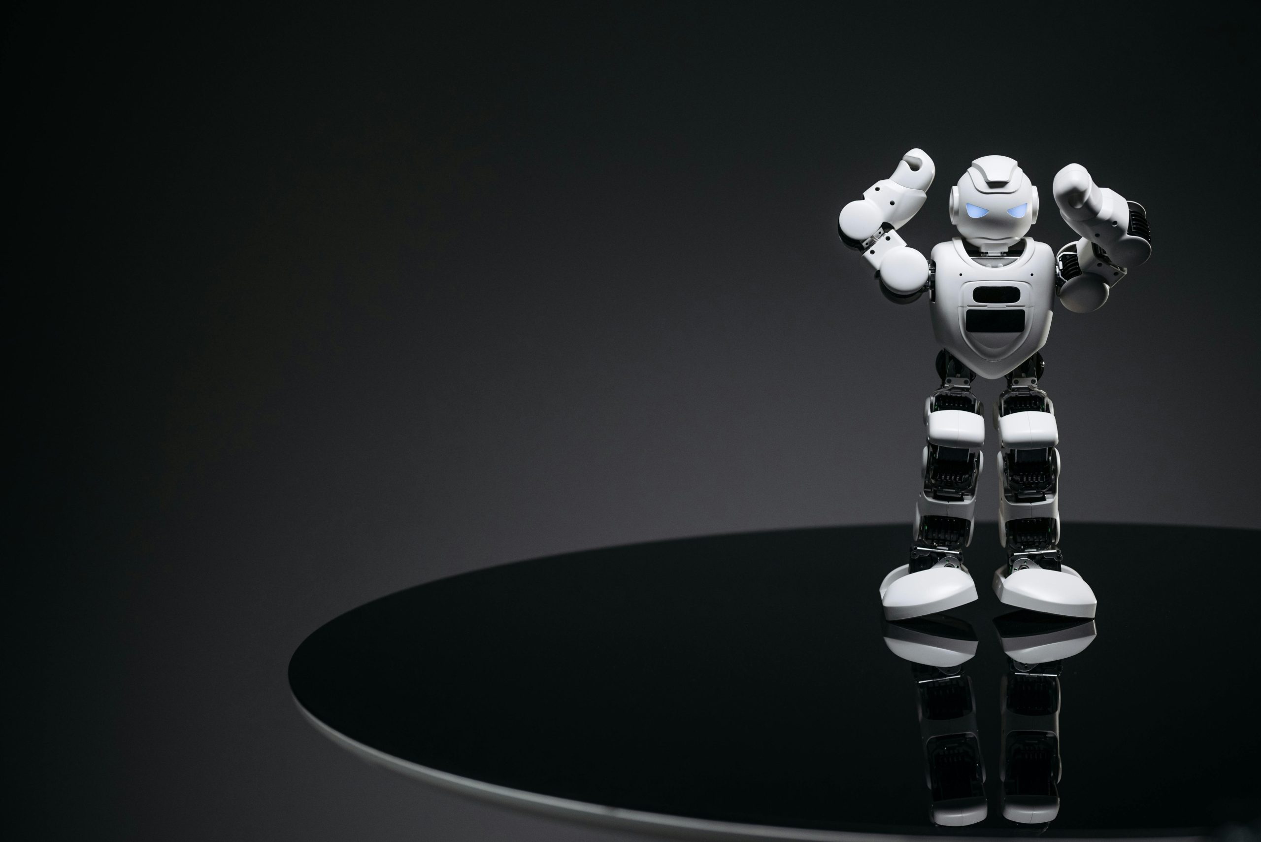 Humanoid Robots: The Future of Human-Machine Interaction