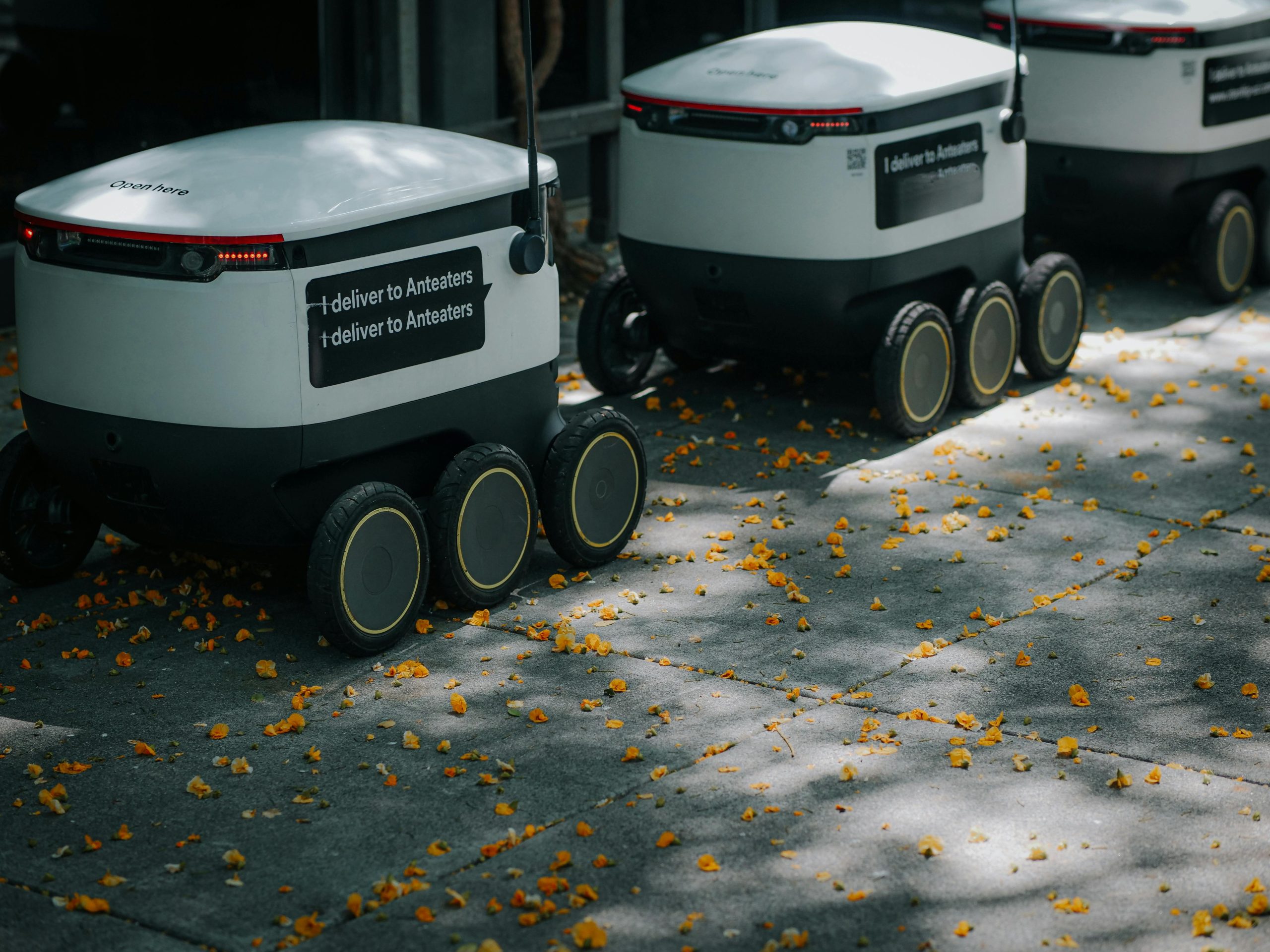 How AI Is Quietly Reshaping Everyday Jobs